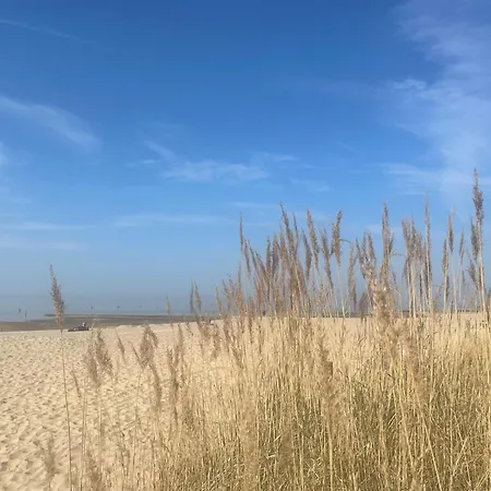 Nordseebrandung B2 2 *